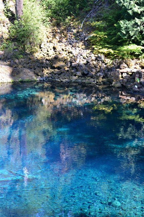 McKenzie River Trail | FivePine