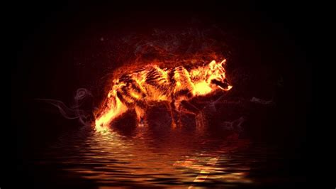 Cool Fire Wolf Wallpapers - Top Free Cool Fire Wolf Backgrounds ...