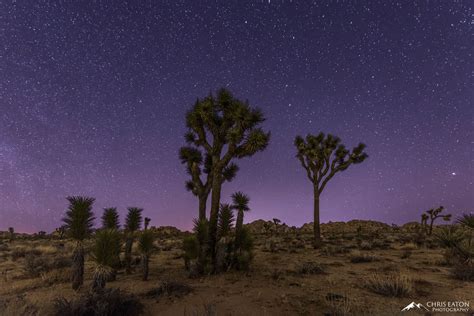 Joshua Tree Night Sky Festival 2024 - Berte Melonie