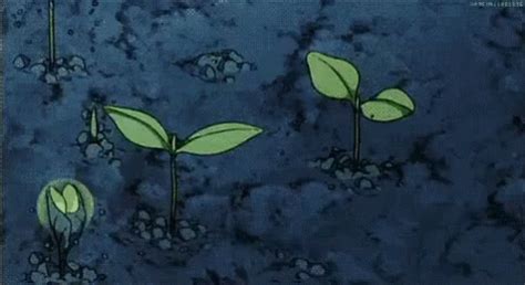 Cartoon Planting GIF - Cartoon Planting Plants - Discover & Share GIFs