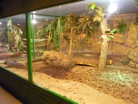 reptile big enclosure - Google Search | Reptile room, Reptile zoo, Reptiles