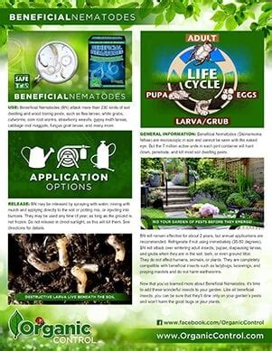 Beneficial Nematodes - Organic Control, Inc.