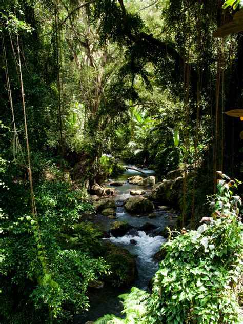 Kuil Gunung Kawi, Tampaksiring, Bali, Indonesia - Sonya and Travis