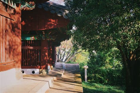 Free stock photo of Korean-style house, nature