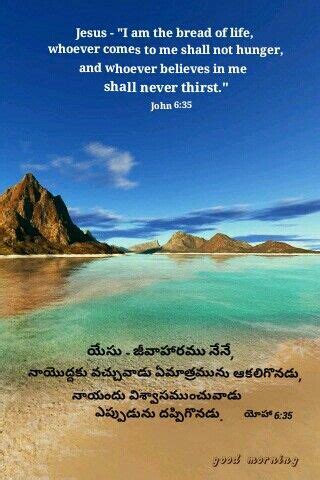 Bible Knowledge, Telugu, Bible Quotes, Believe, Lord, Jesus, Quick ...