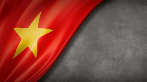 Vietnam flag - Nghiên cứu quốc tế