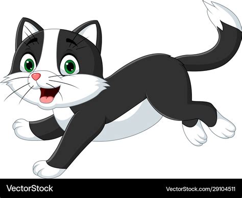 Cartoon black and white cat on white background Vector Image