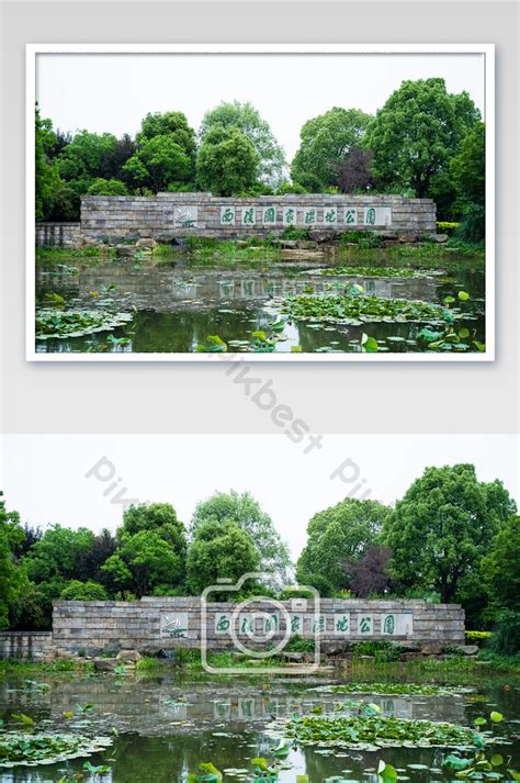 Xixi Wetland Park travel vacation HD photography map | JPG Photo Free Download - Pikbest