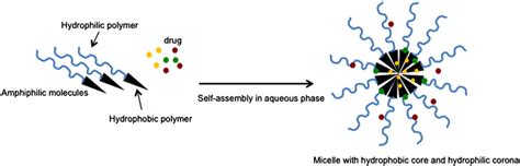 Micelle formation and possible ways of drug association with a micelle... | Download Scientific ...