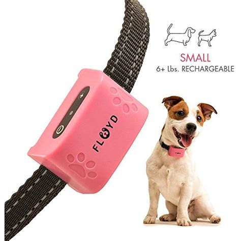 Floyd Small Dog Bark Collar For Tiny To Medium Dogs (6 lbs). Rechargeable And Waterproof Anti ...