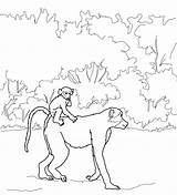 Realistic Baboon Coloring Page  ColoringBay sketch template