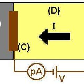 Schematic cross-section view of an amperometric sensor and operation ...