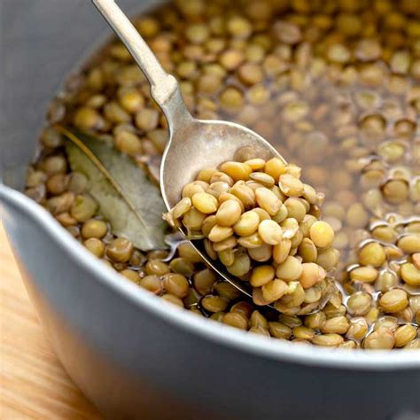 Learn How to Cook Lentils! - Lemon Blossoms