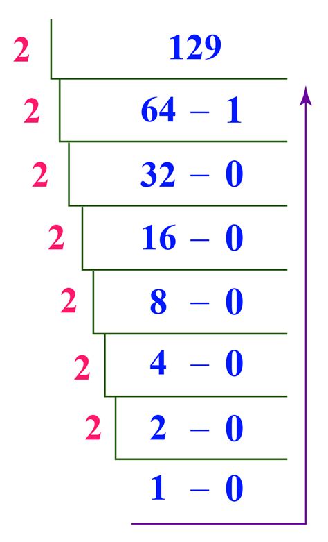 255 in binary | Decimal to Binary Conversion | Solved Examples - Cuemath