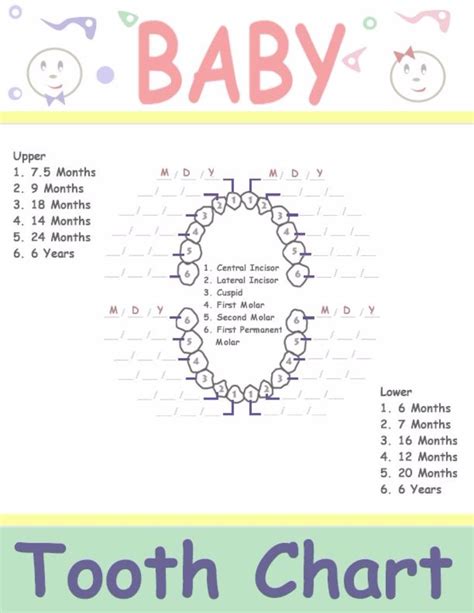 Baby Tooth Chart Letters | Business Mentor