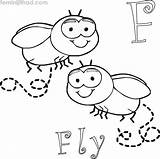 Printable Fly Coloring Pages PDF  Coloringfoldercom sketch template