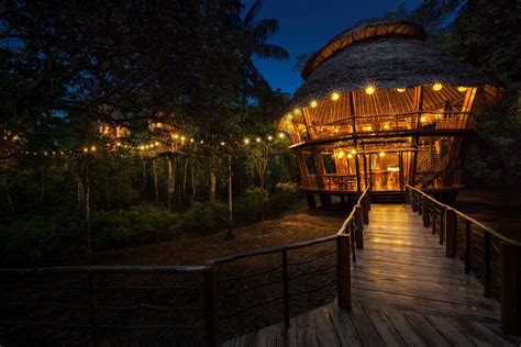 A Guide To The Perfect Honeymoon In The Amazon Rainforest | Rainforest Cruises | Iquitos, Tree ...