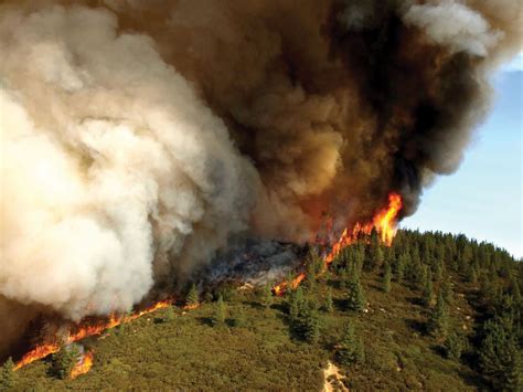 Forest fire | Definition, Description, Ecology, & Facts | Britannica