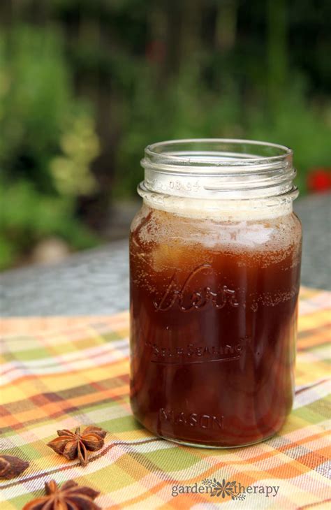 Homemade Root Beer Recipe - Garden Therapy