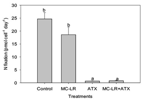 Toxins | Free Full-Text | The Individual and Combined Effects of the Cyanotoxins, Anatoxin-a and ...