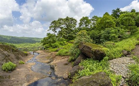 After Almost 9 Months Of Being Shut, Sanjay Gandhi National Park Is ...