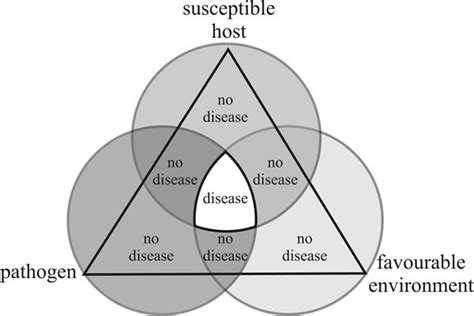 The Basic Concepts Of Plant Disease : Plantlet