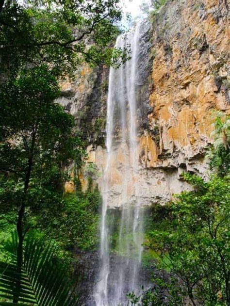 Springbrook National Park Walks and Gold Coast waterfalls