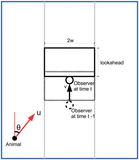 Strip transect with encounter region. Transect line (dashed grey line ...