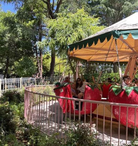 Day Trip: Gilroy Gardens for Family Fun – 510 Families