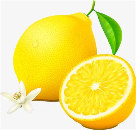 Yellow Lemon PNG, Clipart, Animation, Cut, Cut Open, Flowers, Fruit Free PNG Download