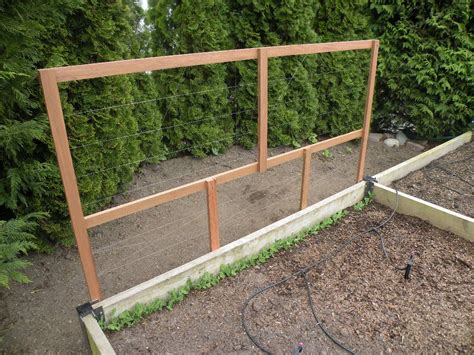 Snow Pea Trellis Ideas - Mbi Garden Plant