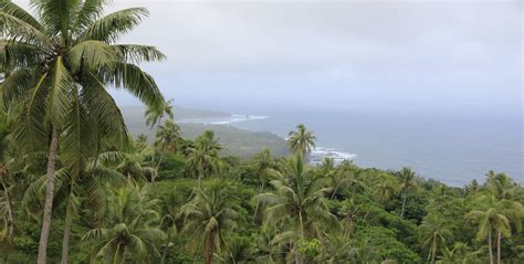 East Melanesian Islands | CEPF