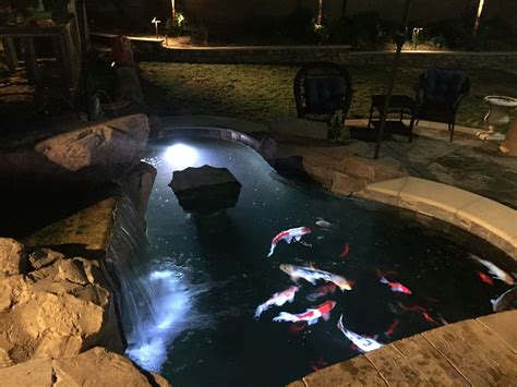 A koi pond we built that was part of a complete pool and backyard remodel. Koi fish love LED ...