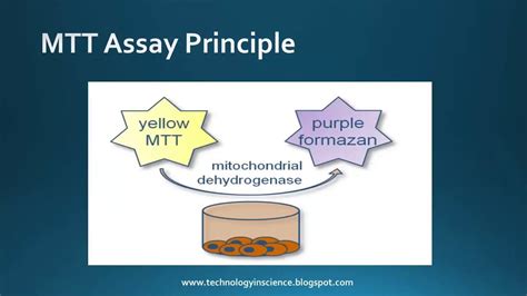 MTT assay Cell Viability Cytotoxicity | Cell, Principles, Mitochondrial