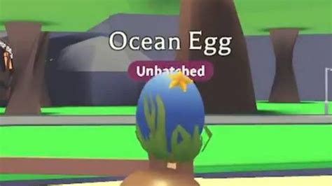 Adopt me ocean egg | Eggs, Adoption, Ocean