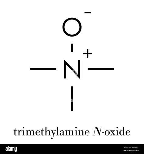 Trimethylamine N-oxide (TMAO) molecule. Skeletal formula Stock Vector Image & Art - Alamy