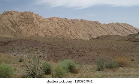 Desert Plants Central Iran May Stock Photo 1103967941 | Shutterstock