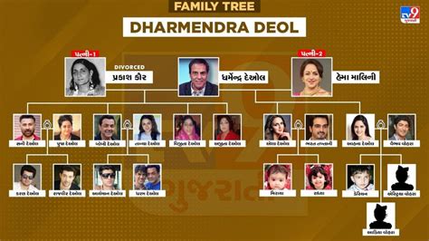 Dharmendra Deol Family Tree : ધરમપાજીના બાળકો પણ બોલિવુડમાં જમાવી ચૂક્યા છે ધાક, જાણો આજે કોણ ...