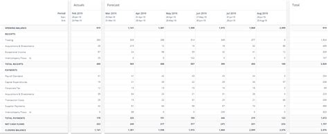 Monthly Cash Flow Forecast