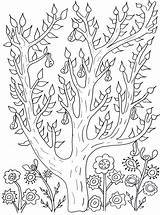 Free Printable Tree Coloring Pages sketch template
