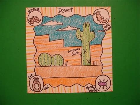 Let's Draw Animal Habitats-The Desert! - YouTube