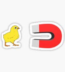 Chick Magnet Stickers | Redbubble