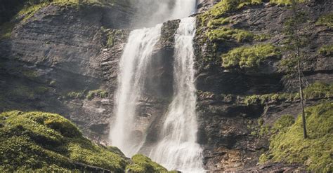 Photo of a Waterfall Between Trees · Free Stock Photo