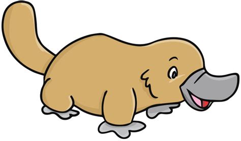 Platypus Pictures Cartoon - Cliparts.co