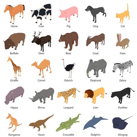 Animales con iconos de nombres firmados establecen estilo isométrico ...