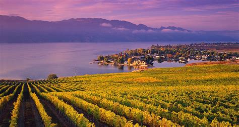 The Kelowna wine region is known not only for their vintages but also lake-side views! Wineries ...