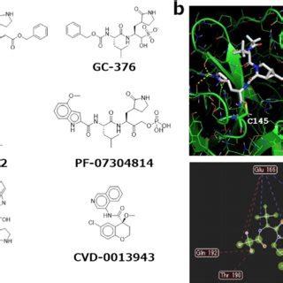 Examples of known main protease inhibitors. (a) Structural formulas of... | Download Scientific ...