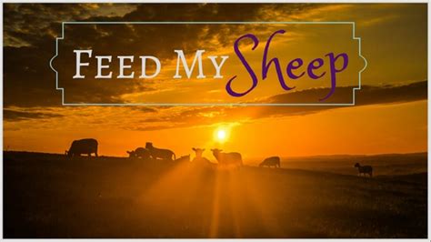 Feed My Sheep - Tommy Bates Ministries