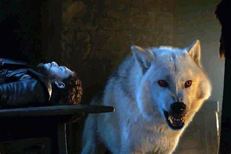 Jon Snow’s direwolf Ghost will be returning for the final season of ...