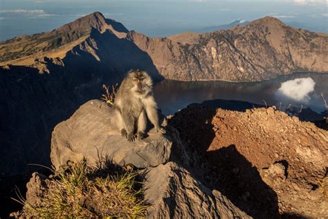 Hiking Mt. Rinjani: A Dash for the Summit Before Sunrise - Chantae Was Here